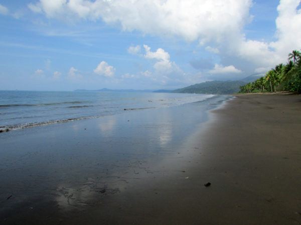 Playa-Mecana-Bahia Solano